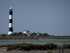 Les couleurs de la Camargue.