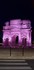 L'Arc de Triomphe en rose.