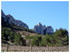 Les Dentelles de Montmirail.