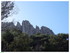 Les Dentelles de Montmirail.