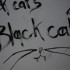 Black cat's