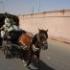 EGYPTE - DU 05 AU 12 MAI 2007