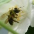 Le jardin de maman - 17 & 