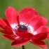 Le jardin de maman - 17 & 
