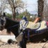 Marrakech - Séjour du 27 mai 