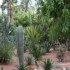 Marrakech - Séjour du 27 mai 
