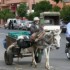 Marrakech - Séjour du 27 mai 