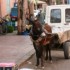 Marrakech - Séjour du 27 mai 
