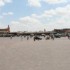 Marrakech - Séjour du 27 mai 