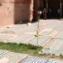 Marrakech - Séjour du 27 mai 