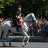14 JUILLET 2008