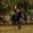 QUI VEUT FAIRE DU RODEO ?