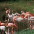 Parc Florale et Zoo de Vincenn