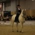 SALON DU CHEVAL - 14 DECEMBRE 