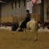 SALON DU CHEVAL - 14 DECEMBRE 
