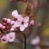 C'EST LE PRINTEMPS