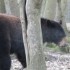 20 MARS 2010 - ZOO DE THOIRY