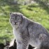 20 MARS 2010 - ZOO DE THOIRY