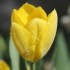 29 MARS - EN DIRECT DE LA CAMP