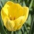 29 MARS - EN DIRECT DE LA CAMP