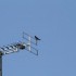 29 MARS - EN DIRECT DE LA CAMP