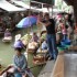 THAILANDE - 15 MAI AU 30 MAI