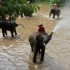 THAILANDE - 15 MAI AU 30 MAI