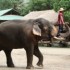THAILANDE - 15 MAI AU 30 MAI