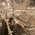 19 DECEMBRE - PARIS SOUS LA NE