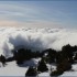 19 AU 22 JANVIER 2011 - CHAMRO