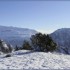 19 AU 22 JANVIER 2011 - CHAMRO
