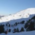 19 AU 22 JANVIER 2011 - CHAMRO