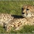 17 AVRIL 2011 - LE PARC DES FE