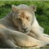 17 AVRIL 2011 - LE PARC DES FE