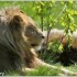 17 AVRIL 2011 - LE PARC DES FE