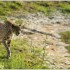 17 AVRIL 2011 - LE PARC DES FE