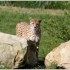 17 AVRIL 2011 - LE PARC DES FE
