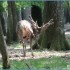 23 AVRIL 2011 - ESPACE RAMBOUI