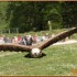 23 AVRIL 2011 - ESPACE RAMBOUI