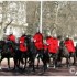 LONDRES - DU 18 AU 23 MARS 201