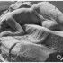 LE PERE LACHAISE - 13 MAI 2012