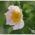 WEEKEND DE LA PENTECOTE - DU 2