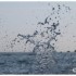 BRETAGNE - DU 11 AU 19 AOUT 20