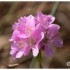 BRETAGNE - DU 11 AU 19 AOUT 20