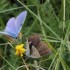 BRETAGNE - DU 11 AU 19 AOUT 20