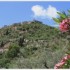 LA GRECE - DU 11 AU 18 MAI 201