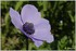 WEEKEND DU 06 - 07 AVRIL 2014