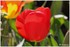 WEEKEND DU 06 - 07 AVRIL 2014