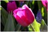 WEEKEND DU 06 - 07 AVRIL 2014