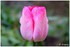 WEEKEND DU 06 - 07 AVRIL 2014